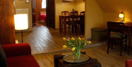 Stube-Neu-Fenster-klein-startbild